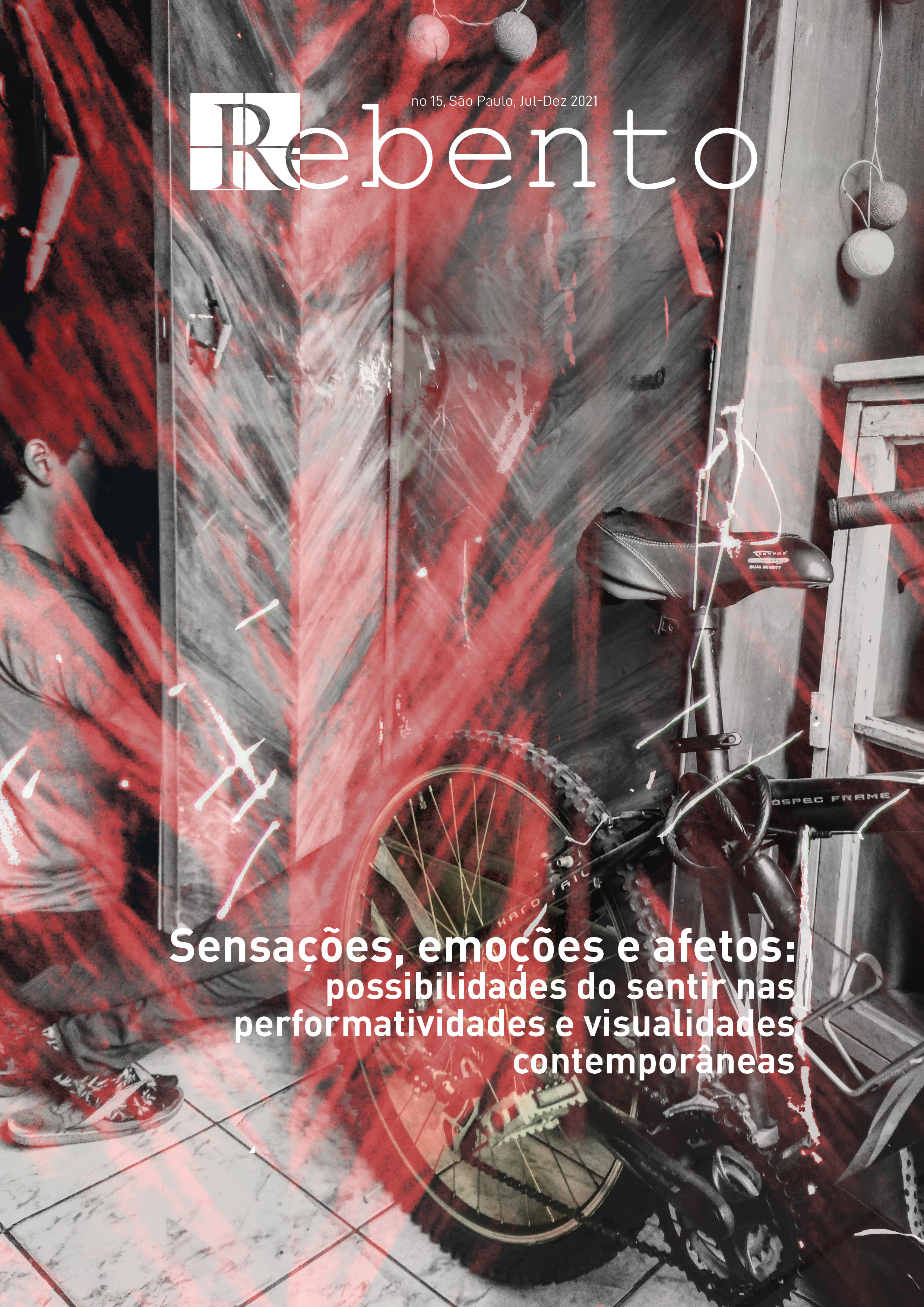 					Visualizar n. 15 (2021): Sensações, emoções e afetos: possibilidades do sentir nas performatividades e visualidades contemporâneas
				